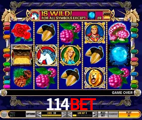 Descubra a Essência do 114Bet: Nossa História e Compromissos